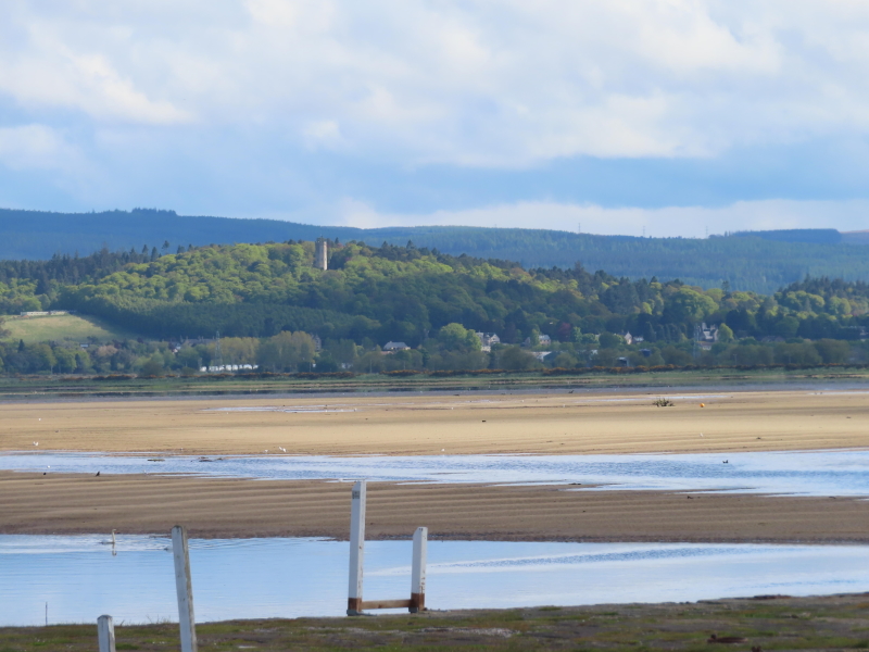Findhorn-Bay-Cluny-Hill-Nelson-Tower-Forres-Moray